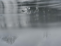 Humedad por Capilaridad