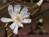 Decoraciones con Telas