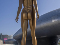 Como Saber Más Fisiología Humana