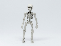 Clases de Fisiología Humana.