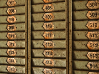 Taller Numerología Egipcia y Tarot