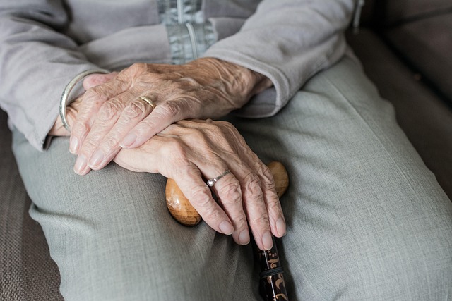Free Course of Memory Loss in Aging free - Online course about Memory ...