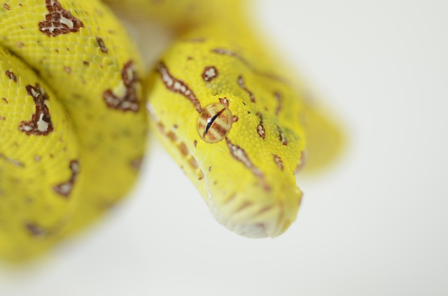 Free Course of Python Machine Learning Tutorial by Programming with ...