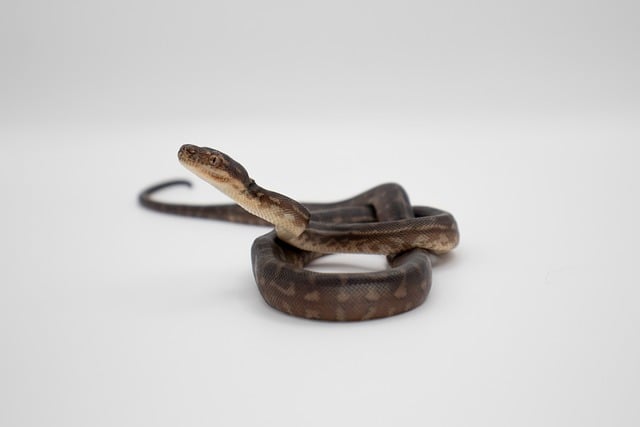 Free Course of Polars Course - Fast Data Analysis with Python free ...