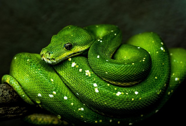Free Course of Python Tutorial: Learn Python for Data Science free ...